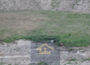 Działka w Gadce gmina Kołbiel miniaturka 2