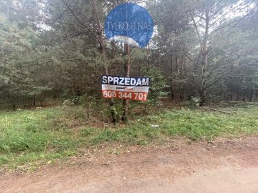 Działki budowlane w lesie niedaleko Bugu-Arciechów