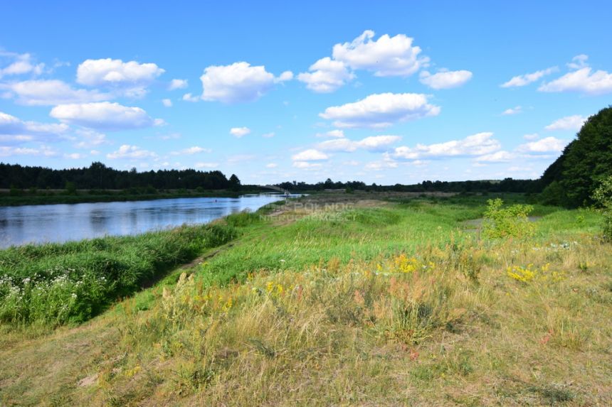 Piękna działka obok lasu w Dolinie Rzeki Narew!! miniaturka 15