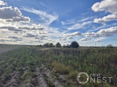 Lesznowola 6 418 000 zł 1.6 ha