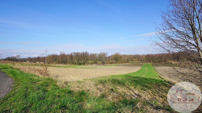 Zamienię na mieszknie we Wrześni miniaturka 14