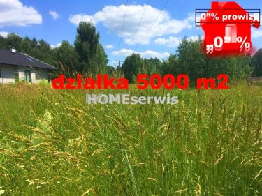 Działka budowlana 5000 m2 Janik k/Ostrowca