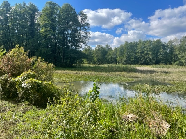 Budowlano/rolna 2,6ha nad Bugiem 30 km od Warszawy miniaturka 9