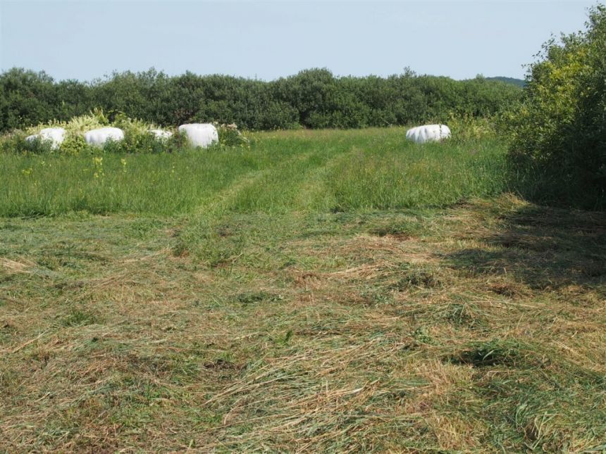 Reda, 1 905 000 zł, 1.27 ha, rolna miniaturka 6