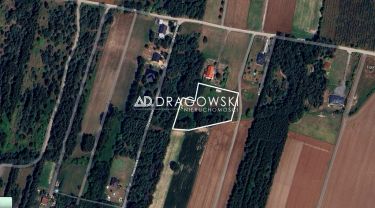 Działka ok 0,5 ha, spokój, natura, potencjał