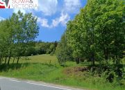 Działka budowlana, 3 km od Wałbrzycha - Promocja! miniaturka 9