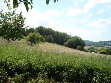 Dziećmorowice, 420 000 zł, 42.84 ar, budowlana