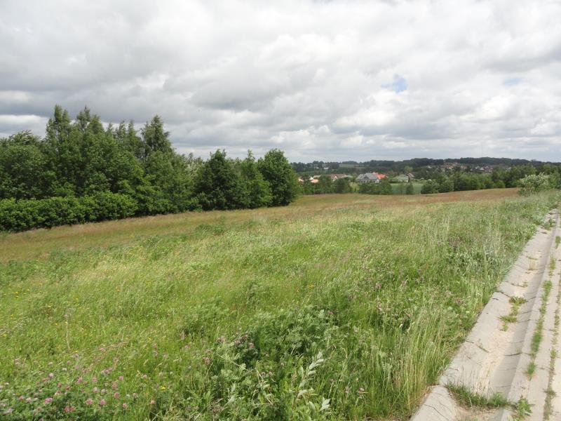 Działka budowlana - Warzno - zdjęcie 1