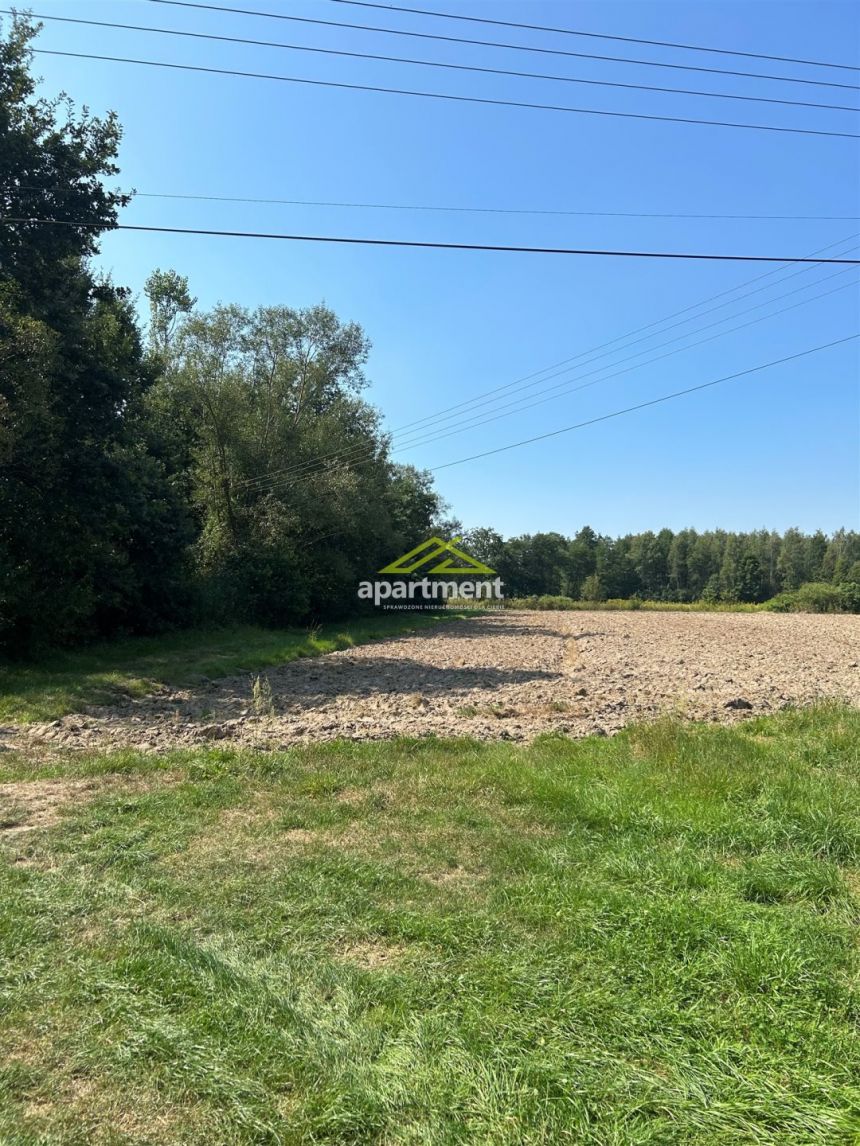 Radgoszcz, 249 000 zł, 5.32 ha, przyłącze wodociągu miniaturka 25