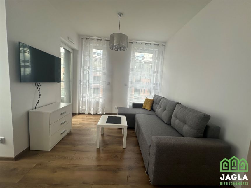 Platanowy Park 2023r blok M3  40m na wynajem miniaturka 9