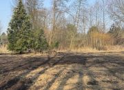 Chyby, dolne,Okazja, działka bud., starodrzew miniaturka 4