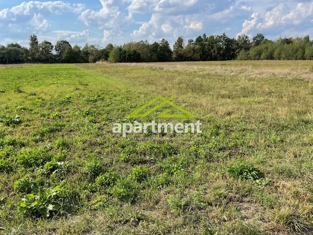 Radgoszcz, 249 000 zł, 5.32 ha, przyłącze wodociągu miniaturka 29