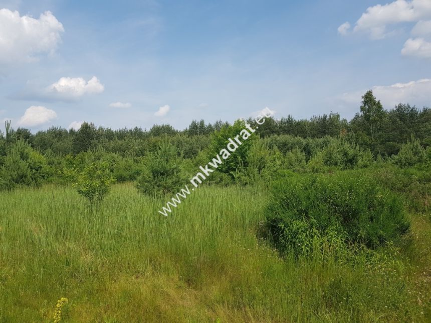 Działka 4000  m²  - usługowo-budowlana MPZP! - zdjęcie 1