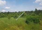 Działka 4000  m²  - usługowo-budowlana MPZP! miniaturka 1