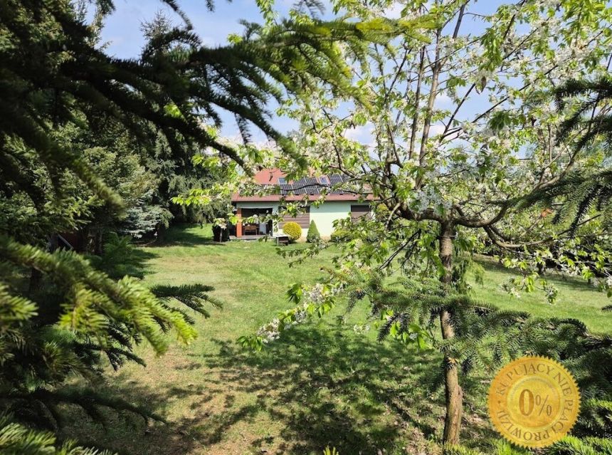Ponad 14 000 m2 działki, solidny, do wprowadzenia miniaturka 3