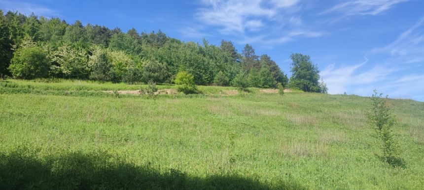 Działka budowlana- Tropie- Gródek nad Dunajcem miniaturka 6