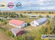 Nowy Dwór Gdański 1 990 000 zł 800 m2 miniaturka 34