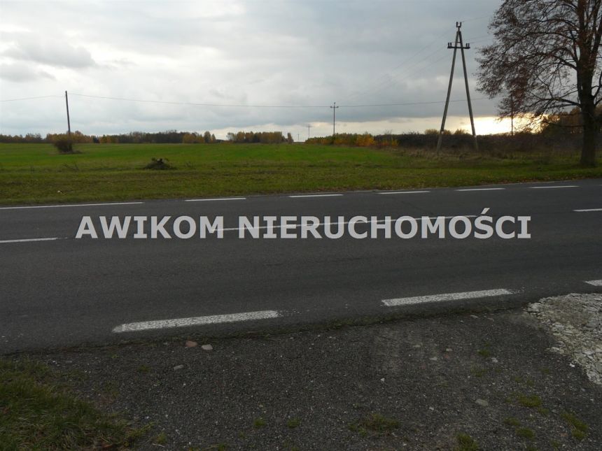 Lisowola, 583 400 zł, 5.83 ha, rolna miniaturka 8