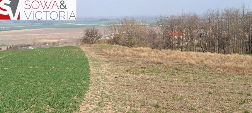 Piękna, otoczona lasem działka w Dobromierzu miniaturka 4