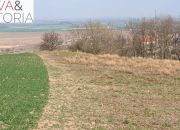 Piękna, otoczona lasem działka w Dobromierzu miniaturka 3
