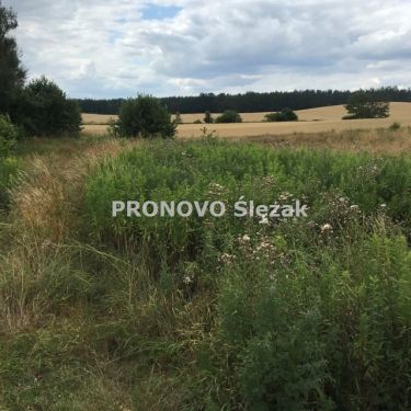 Rościsławice.Działka 1266 m².8 min od Obornik Śl.