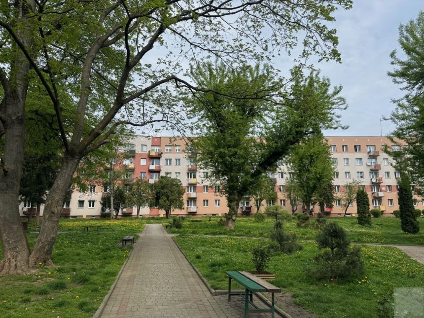 Kmiecie 3 pokojowe mieszkanie na parterze - zdjęcie 1