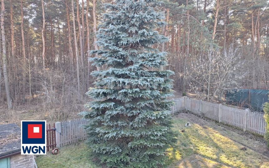 Jaworzno Szczakowa, 559 000 zł, 180 m2, wolnostojący miniaturka 4