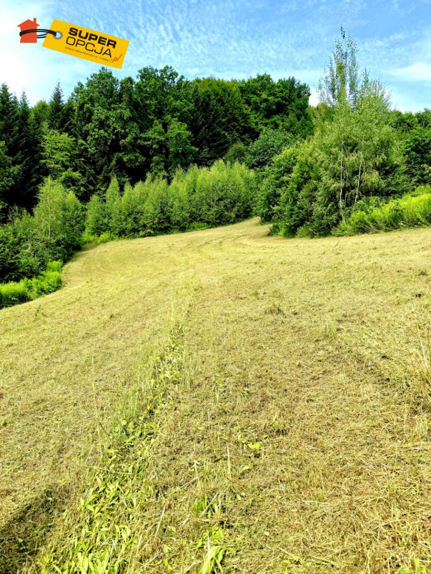 Łękawica, 977 000 zł, 49.3 ar, droga dojazdowa utwardzona miniaturka 7