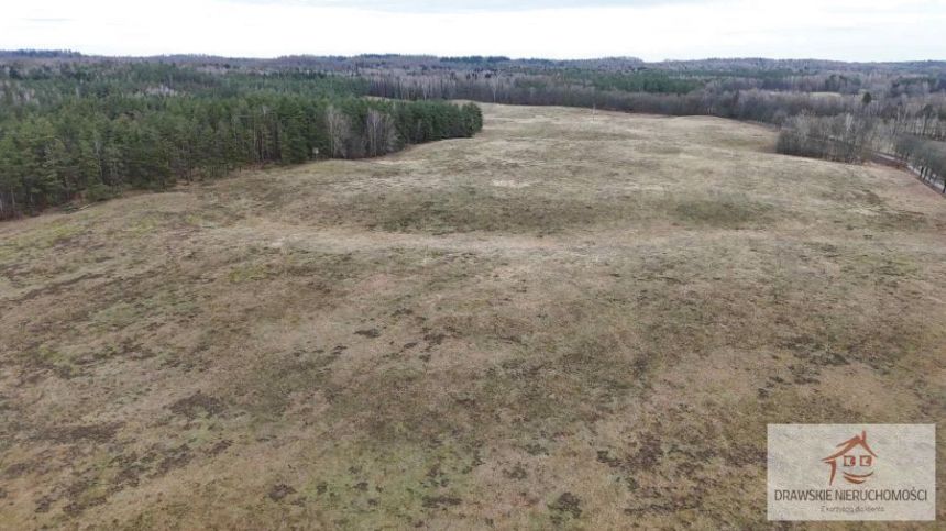 Prosino, 1 985 000 zł, 55.37 ha, rolna miniaturka 8