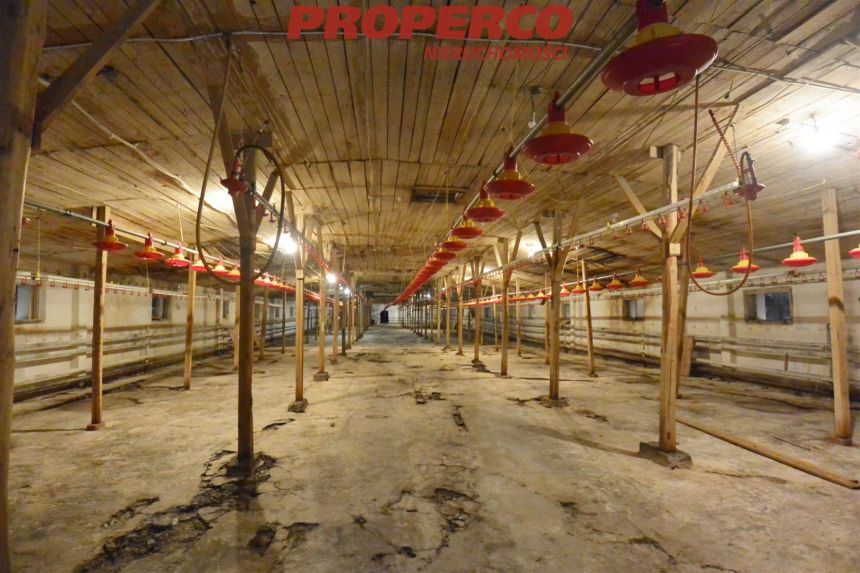 4 hale po 1100 m2, działka 1,8 ha, ferma drobiu miniaturka 8