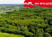 Działka leśna w Skrzyszowie miniaturka 1