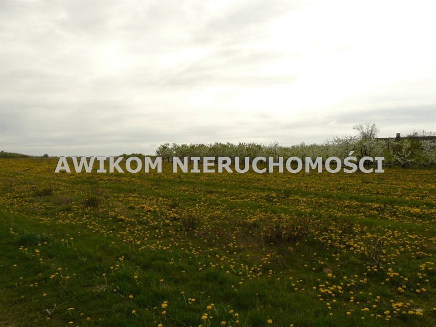 Wycinka Wolska, 124 020 zł, 1.03 ha, woda w drodze miniaturka 10
