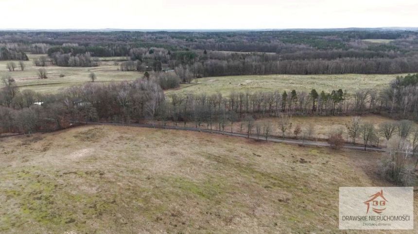 Prosino, 1 985 000 zł, 55.37 ha, rolna miniaturka 4