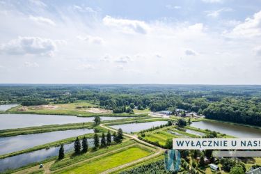 Grzegorzewice, 369 000 zł, 22 ar, droga dojazdowa utwardzona