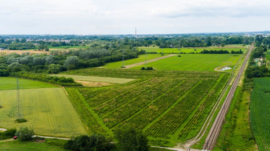 Działka inwestycyjna - wysoki  i szybki zysk miniaturka 2