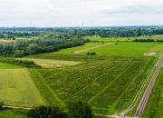 Działka inwestycyjna - wysoki  i szybki zysk miniaturka 2