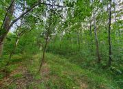 Blisko ul. Kąckiej, z prywatnym lasem. miniaturka 5