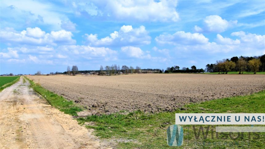 Henrysin, 300 000 zł, 30 ar, budowlana - zdjęcie 1