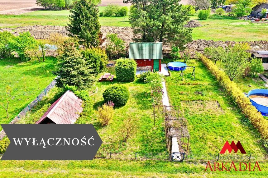 Działka ROD-Ośmiałkowo,Lipno - zdjęcie 1
