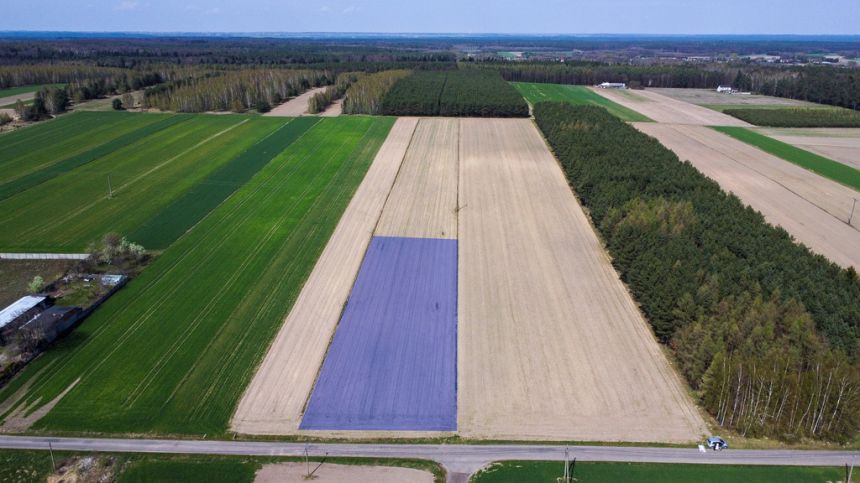 Zimnowoda | Działki na sprzedaż miniaturka 3