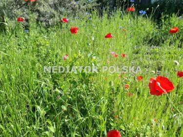 Działka rolna w Łące za Turawą