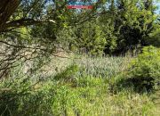Dzierżążno Wielkie, 680 000 zł, 210 m2, do wykończenia miniaturka 9