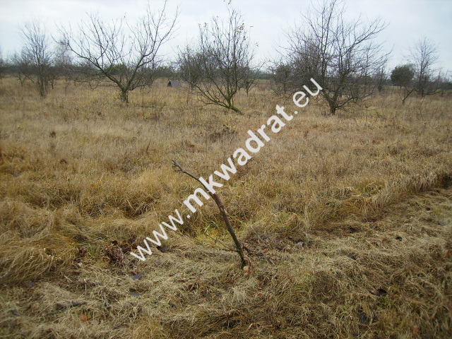 Puszcza Mariańska, 207 000 zł, 50 ar, prostokątna miniaturka 4