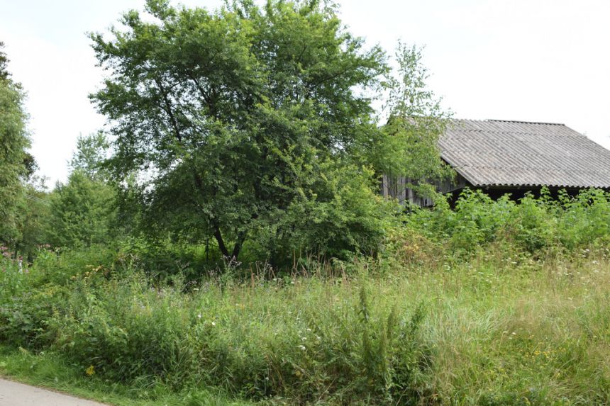 Działka 21a pod rekreację- Wesoła miniaturka 2