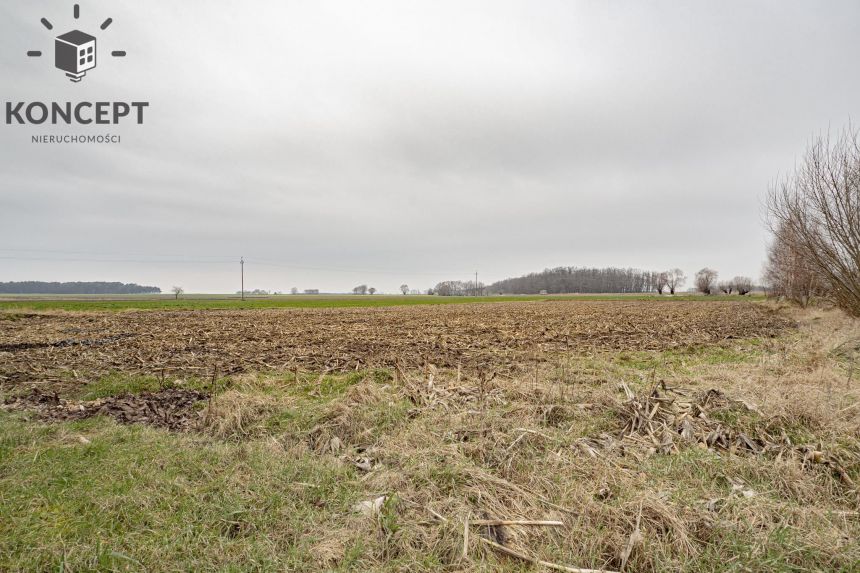 Dom wolnostojący, działka 6400 m2, budynek gospodarczy miniaturka 15