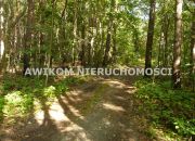 Olszanka, 363 150 zł, 40.35 ar, budowlana miniaturka 3
