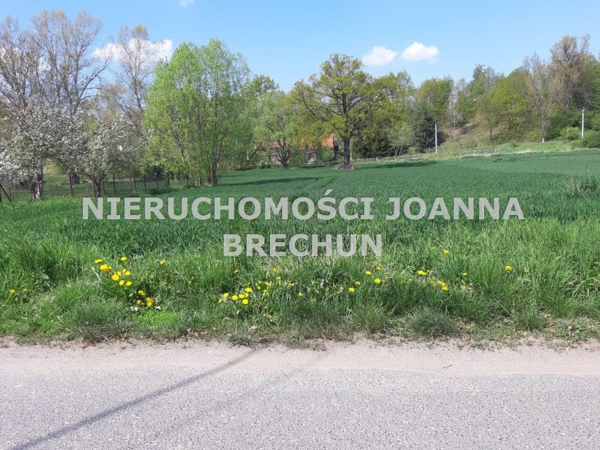 Krzyżowa, 395 000 zł, 1.49 ha, przyłącze wodociągu miniaturka 3