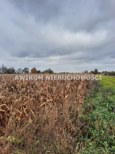 Basin, 670 000 zł, 1.67 ha, przyłącze elektryczne