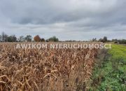 Basin, 670 000 zł, 1.67 ha, przyłącze elektryczne miniaturka 1