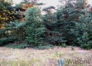 Niemianowice, 79 680 zł, 13.28 ar, droga dojazdowa asfaltowa miniaturka 2